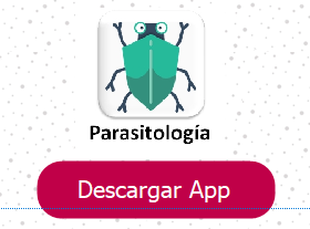 Clic para descargar